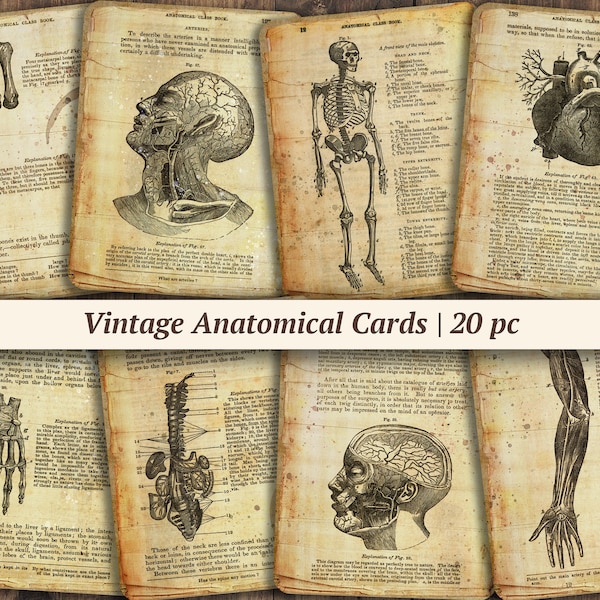 Vintage Anatomical Journaling Cards | 20 pc | printable anatomy junk journal ephemera, digital medical scrapbook paper kit, collage sheet