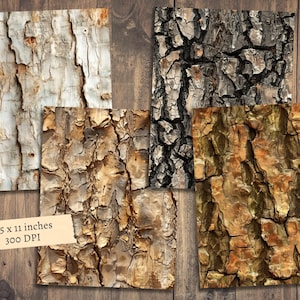 May include: Four different bark textures, each with a unique pattern and color. The bark textures are brown, gray, white, and a mix of brown, green, and orange. The textures are 8.5 x 11 inches and 300 DPI.