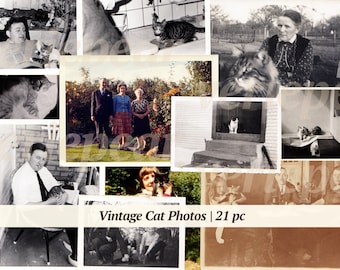 Vintage Cat Photos | 21x | printable kitten photographs | victorian image | old pictures | digital ephemera | cat digikit | antique photoset