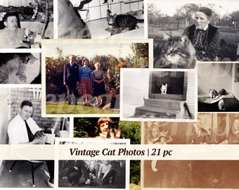 Vintage Cat Photos | 21x | printable kitten photographs | victorian image | old pictures | digital ephemera | cat digikit | antique photoset