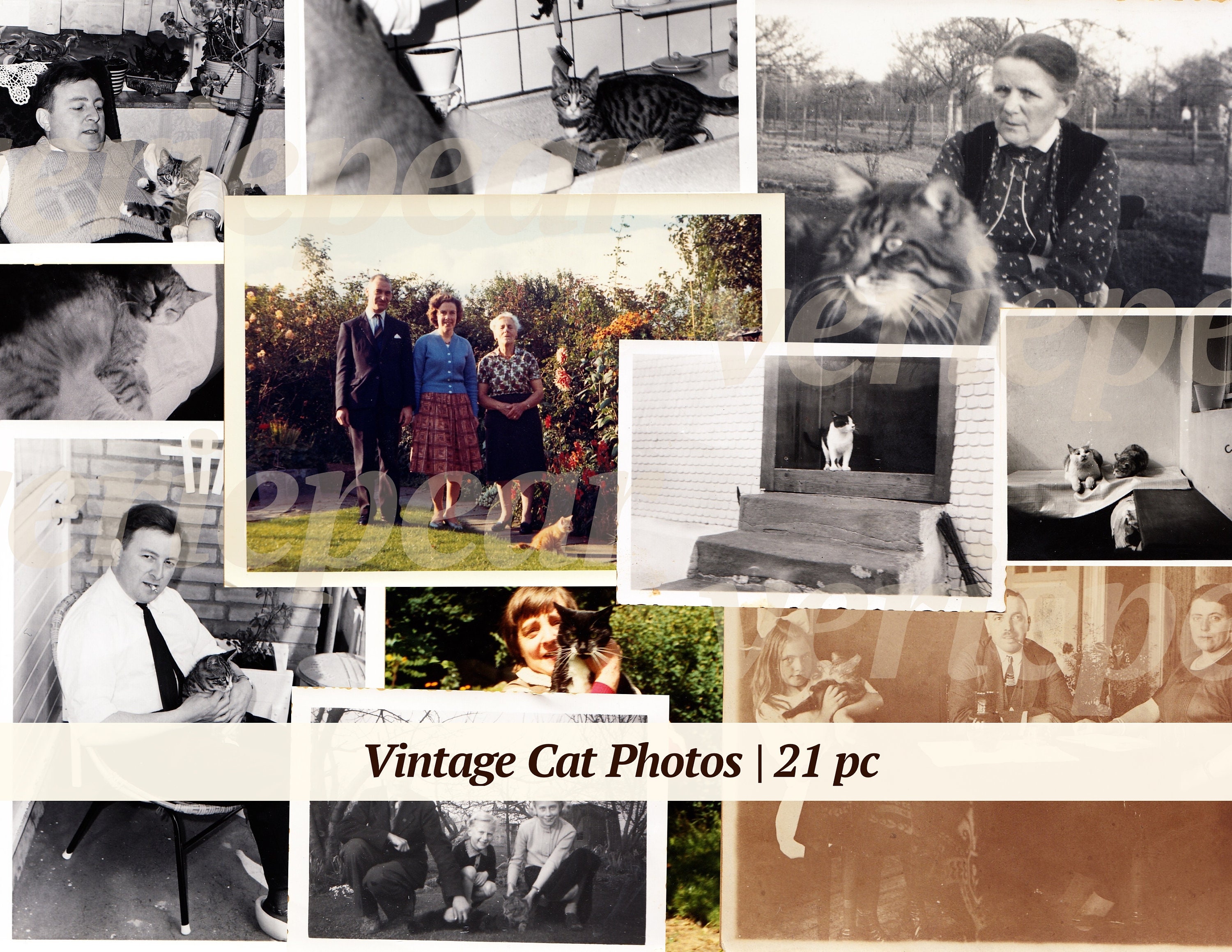 Vintage Cat Photos | 21x | printable kitten photographs | victorian image | old pictures | digital ephemera | cat digikit | antique photoset