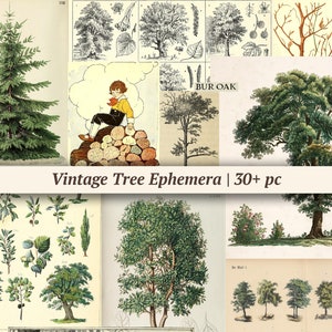 Arbre éphémère vintage | Plus de 30 pièces, papier journal botanique numérique, pages de scrapbooking imprimables, feuille de collage forêt, embellissements nature