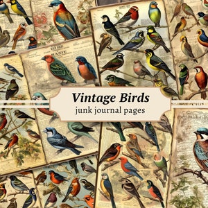 Pages de journal vintage oiseaux, kit de papier de scrapbooking numérique, animaux à imprimer, feuille de collage antique, éphémères de la faune, téléchargement d'oiseaux de la nature