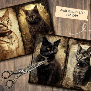 May include: Three vintage-style illustrations of cats with ornate frames. The first cat is a tabby with a collar and a pendant. The second cat is black with a collar and a pendant. The third cat is black with a collar and a pendant.