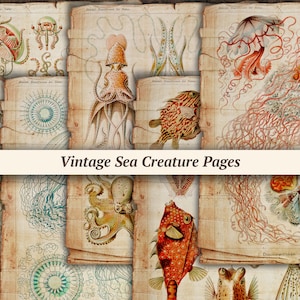 Vintage pagina's met zeedieren | digitaal junkjournaalpapier, plakboekkit oceaan, antieke nautische ephemera, grunge collageblad, zeevissen