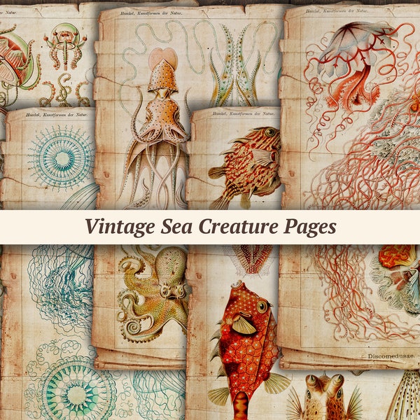 Vintage Sea Creature Pages | digital junk journal paper, ocean scrapbook kit, antique nautical ephemera, grunge collage sheet, marine fish