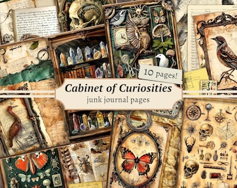 Cabinet of Curiosities Junk Journal Pages, Digital Scrapbook Paper Kit, Specimen Printable, Vintage Ephemera, Natural History Collage Sheet