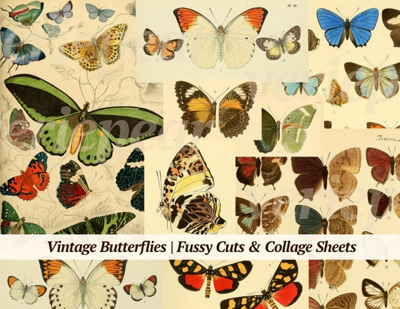 Vintage Butterfly Printables | butterfly digikit | digital download | fussy cut | junk journal ephemera | old scrapbook pack | collage print