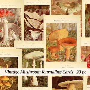 Vintage paddestoelillustraties Digikit | digitale paddenstoelkaarten | pagina's oude boeken | afdrukbare botanische foto's | Bundel met zelfklevende tijdschriften