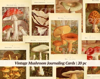Vintage Mushroom Illustrations Digikit | digital toadstool cards | old book pages | printable botanical pictures | DIY junk journal bundle