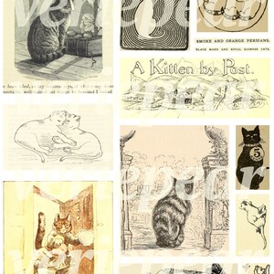 Puede incluir: Una colecci&oacute;n de ilustraciones vintage con gatos en varias poses. Las ilustraciones son en blanco y negro y tienen una est&eacute;tica caprichosa y antigua. Algunas de las ilustraciones incluyen texto, como "A Kitten by Post" y "Smoke and Orange Persians."