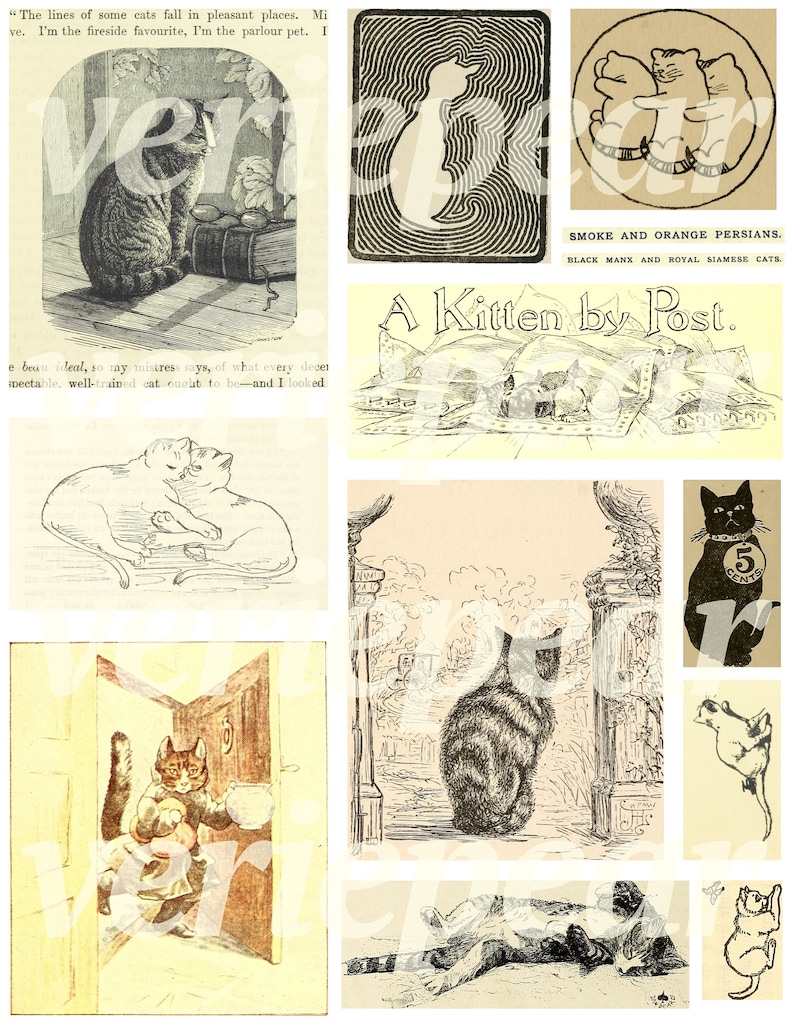 Puede incluir: Una colecci&oacute;n de ilustraciones vintage con gatos en varias poses. Las ilustraciones son en blanco y negro y tienen una est&eacute;tica caprichosa y antigua. Algunas de las ilustraciones incluyen texto, como "A Kitten by Post" y "Smoke and Orange Persians."