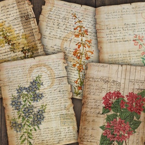 Páginas digitales de diario botánico vintage / efímeras imprimibles / descarga de hojas de collage / ilustraciones florales / cartas antiguas / álbum de recortes