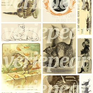 May include: A vintage collage of images featuring cats in various poses. The images are in black and white and have a sepia tone. The images are surrounded by a white border.