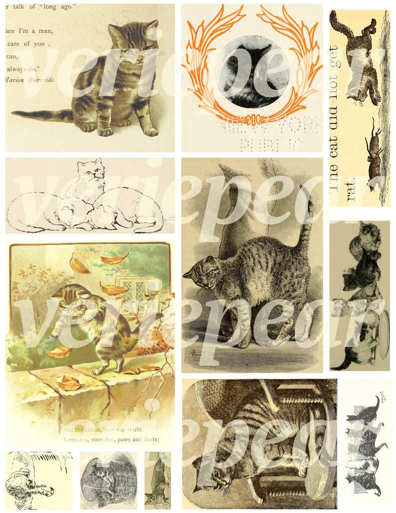 May include: A vintage collage of images featuring cats in various poses. The images are in black and white and have a sepia tone. The images are surrounded by a white border.