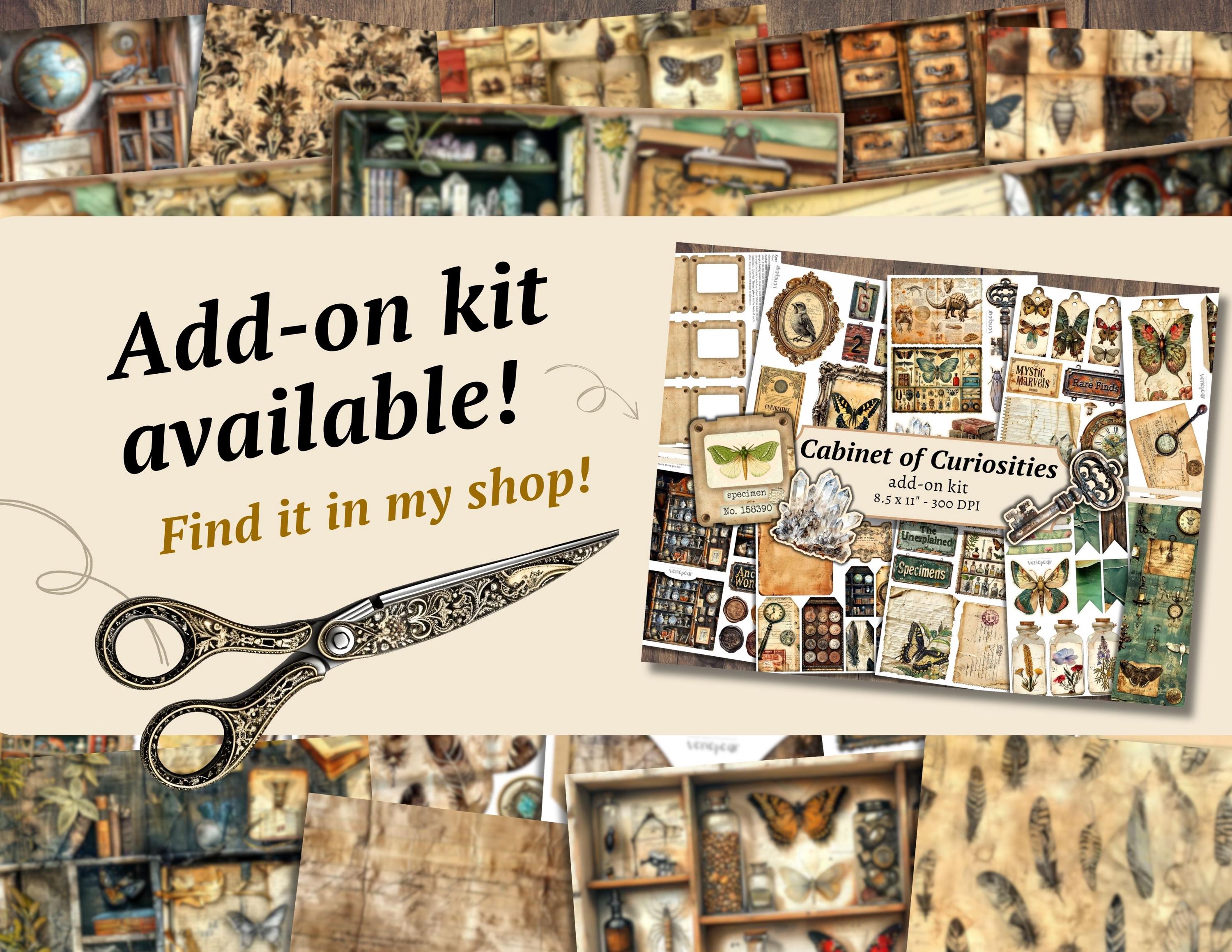 Cabinet of Curiosities Junk Journal Kit, Digital Scrapbook Paper, Natural History Printable, Victorian Science Pages, Vintage Ephemera Craft - Etsy Cabinet of Curiosities Junk Journal Kit, Digital Scrapbook Paper, Natural History Printable, Victorian Science Pages, Vintage Ephemera Craft - Etsy