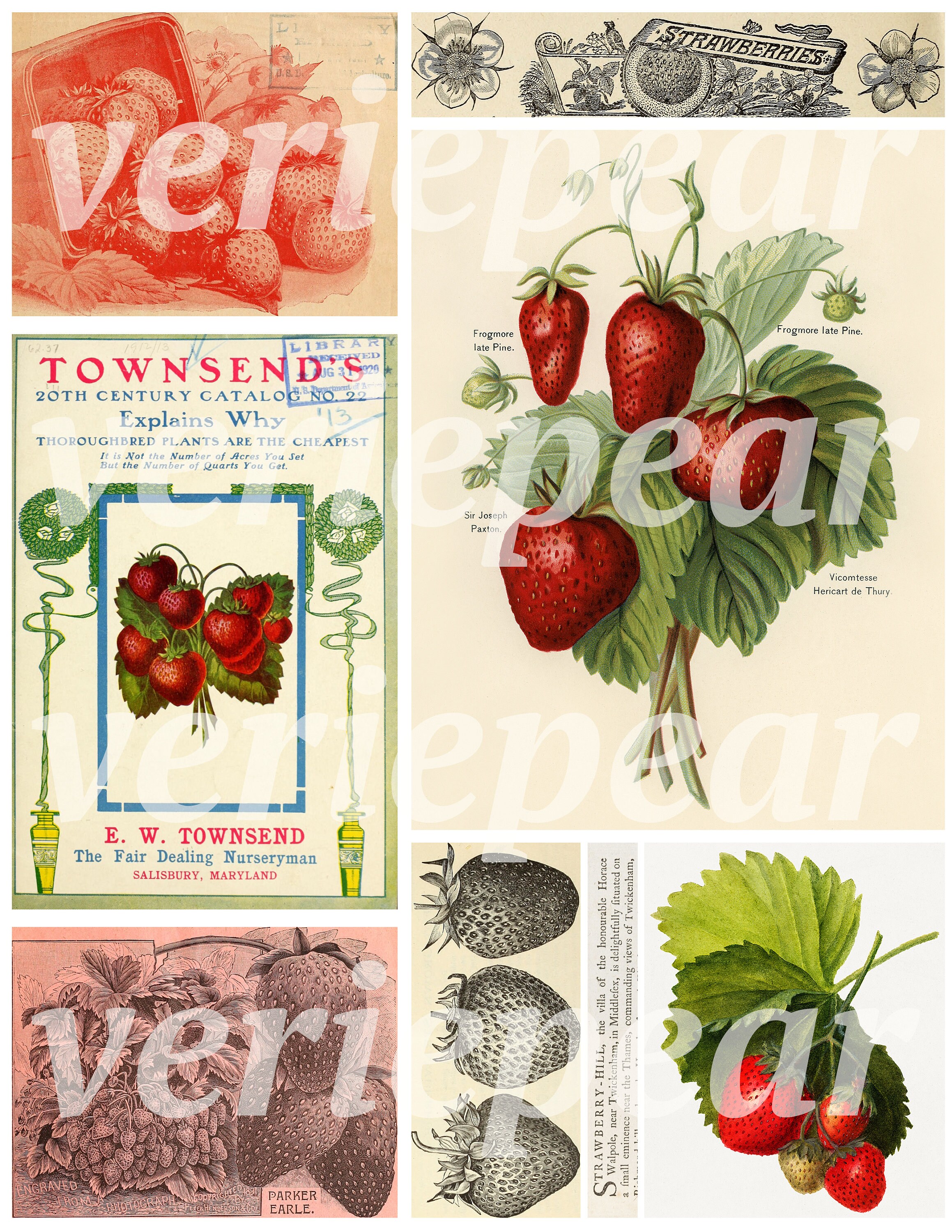 Vintage Strawberry Ephemera, Printable Junk Journal Paper
