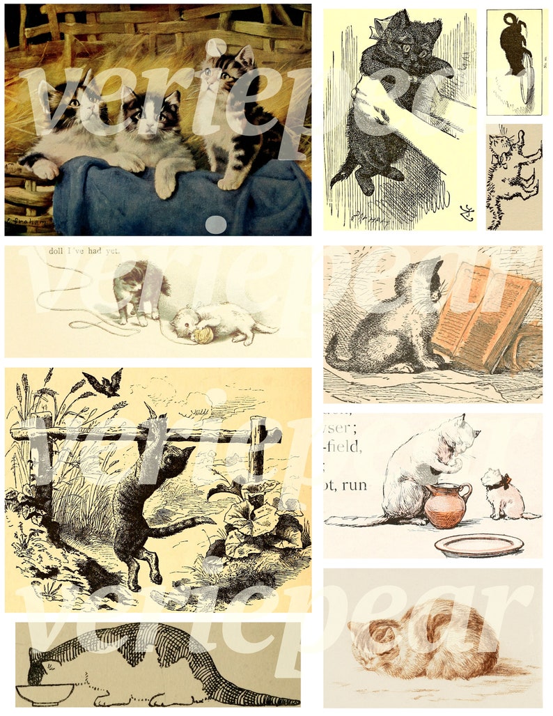 Puede incluir: Un collage de ilustraciones vintage con gatos en varias poses. Las im&aacute;genes incluyen gatos jugando con hilo, leyendo libros y trepando cercas. Las ilustraciones son en blanco y negro y tienen una est&eacute;tica caprichosa y antigua.