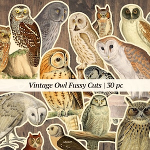 Vintage uil kieskeurig | 30 stuks | afdrukbare efemere rommeldagboeken, vogelcollageblad, digitaal plakboekpapier, uilversieringen, afbeelding uil