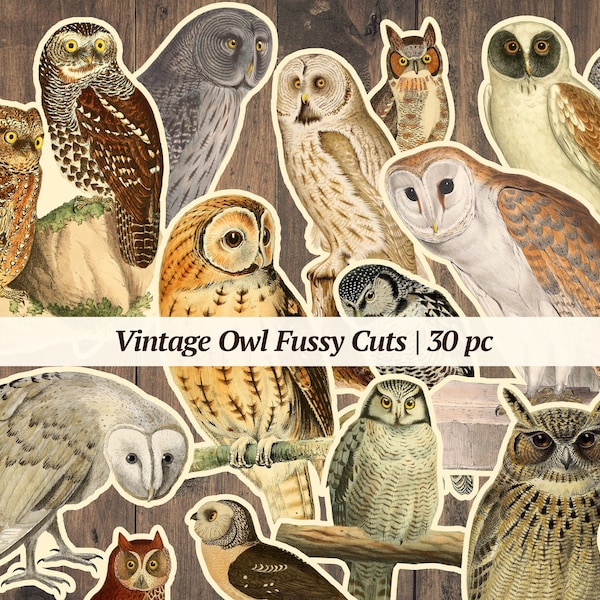 Owl - Etsy
