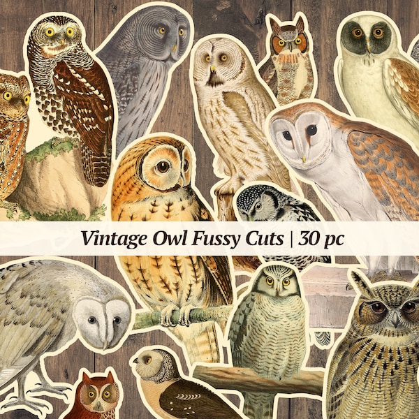 Vintage Owl Fussy Cuts | 30 pc | printable junk journal ephemera, bird collage sheet, digital scrapbook paper, owl embellishments, owl image