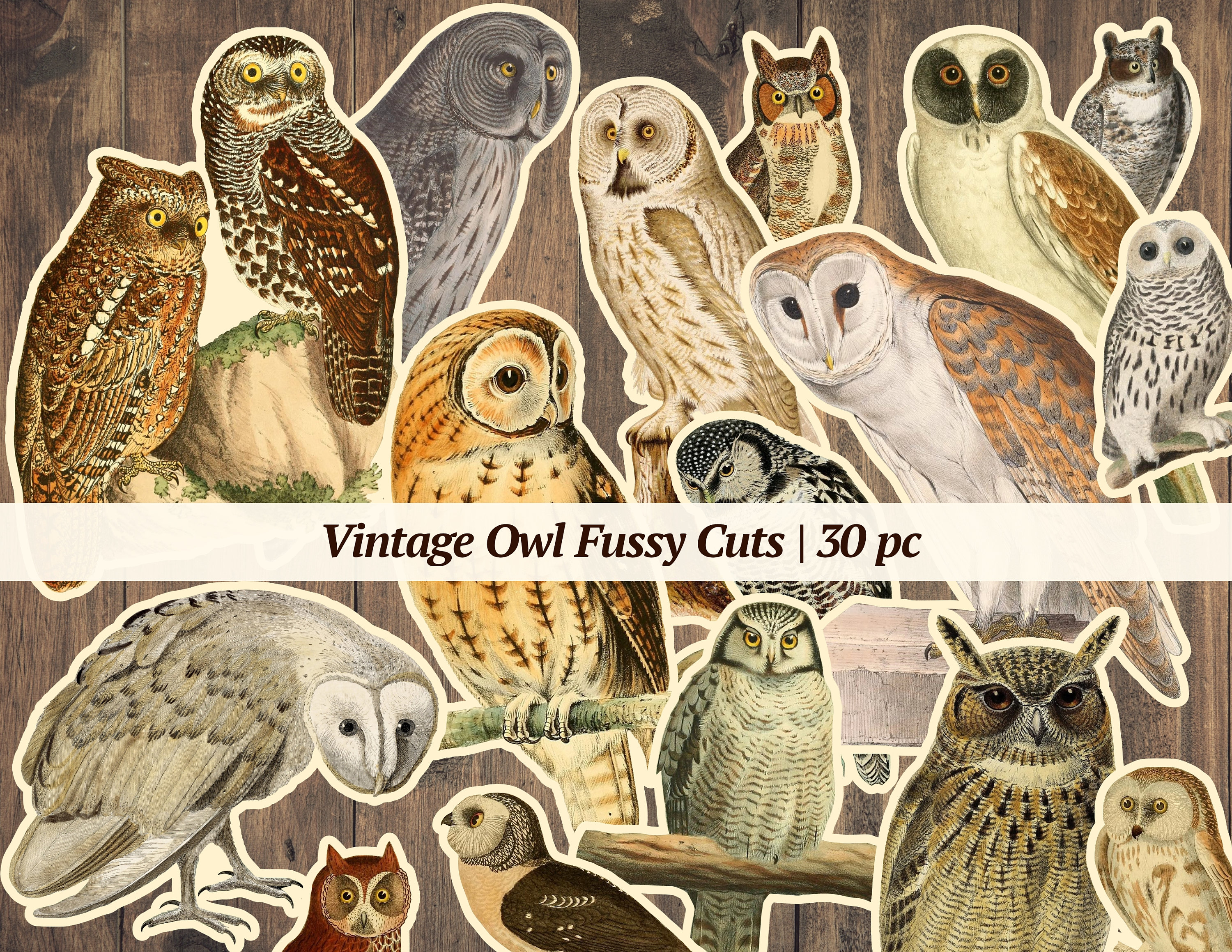 Vintage Owl Fussy Cuts | 30 pc | printable junk journal ephemera, bird collage sheet, digital scrapb