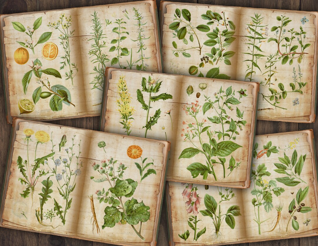 Book of Herbs Digital Vintage Junk Journal Pages | Printable Botanical ...