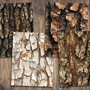May include: Four different close-up images of tree bark textures. The bark textures are all different colors and patterns. The bark is brown, gray, and white.