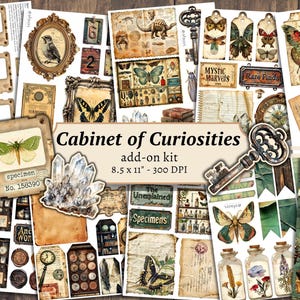 Cabinet of Curiosities Add on Junk Journal Kit, Digital