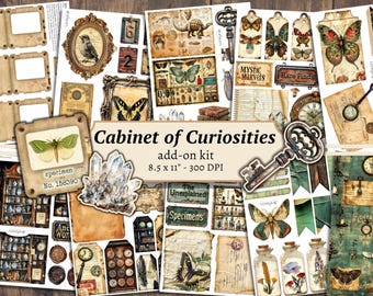 Cabinet of Curiosities Add On Junk Journal Kit, Digital Scrapbook Paper, Specimen Printable, Natural History Pages, Vintage Ephemera Cards