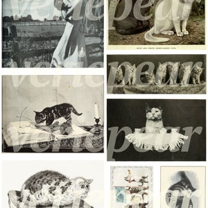 Puede incluir: Una colecci&oacute;n de postales antiguas con im&aacute;genes en blanco y negro de gatos. Las postales muestran gatos de diferentes razas y edades, incluyendo gatitos, en varias poses. Algunas de las postales tienen texto, como "Gatos de pelo corto azul y blanco."
