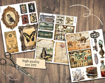 Cabinet of Curiosities Add on Junk Journal Kit, Digital