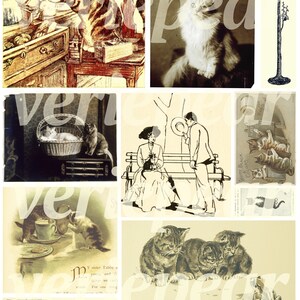May include: A vintage collage featuring images of cats in various settings. The collage includes a black and white image of a cat sitting on a bench with a woman, a black and white image of a cat sitting on a chair, a black and white image of a cat sitting on a table, and a color image of a cat sitting on a windowsill. The collage also includes text that says "The Music's Future!" and "White Black Colors".