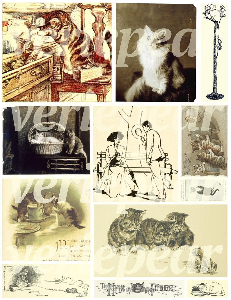 May include: A vintage collage featuring images of cats in various settings. The collage includes a black and white image of a cat sitting on a bench with a woman, a black and white image of a cat sitting on a chair, a black and white image of a cat sitting on a table, and a color image of a cat sitting on a windowsill. The collage also includes text that says "The Music's Future!" and "White Black Colors".