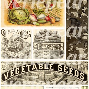 Vintage bondgårds-ephemera | 40+ st | digitalt collageark, utskrivbart skräpjournalkit för lantlig användning, scrapbookingpapper för bondgårdsliv, bilder på bondgårdsdjur bild 2