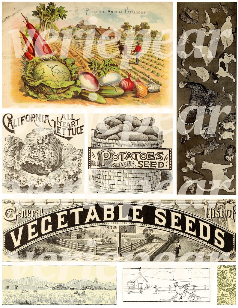 Vintage bondgårds-ephemera | 40+ st | digitalt collageark, utskrivbart skräpjournalkit för lantlig användning, scrapbookingpapper för bondgårdsliv, bilder på bondgårdsdjur bild 2