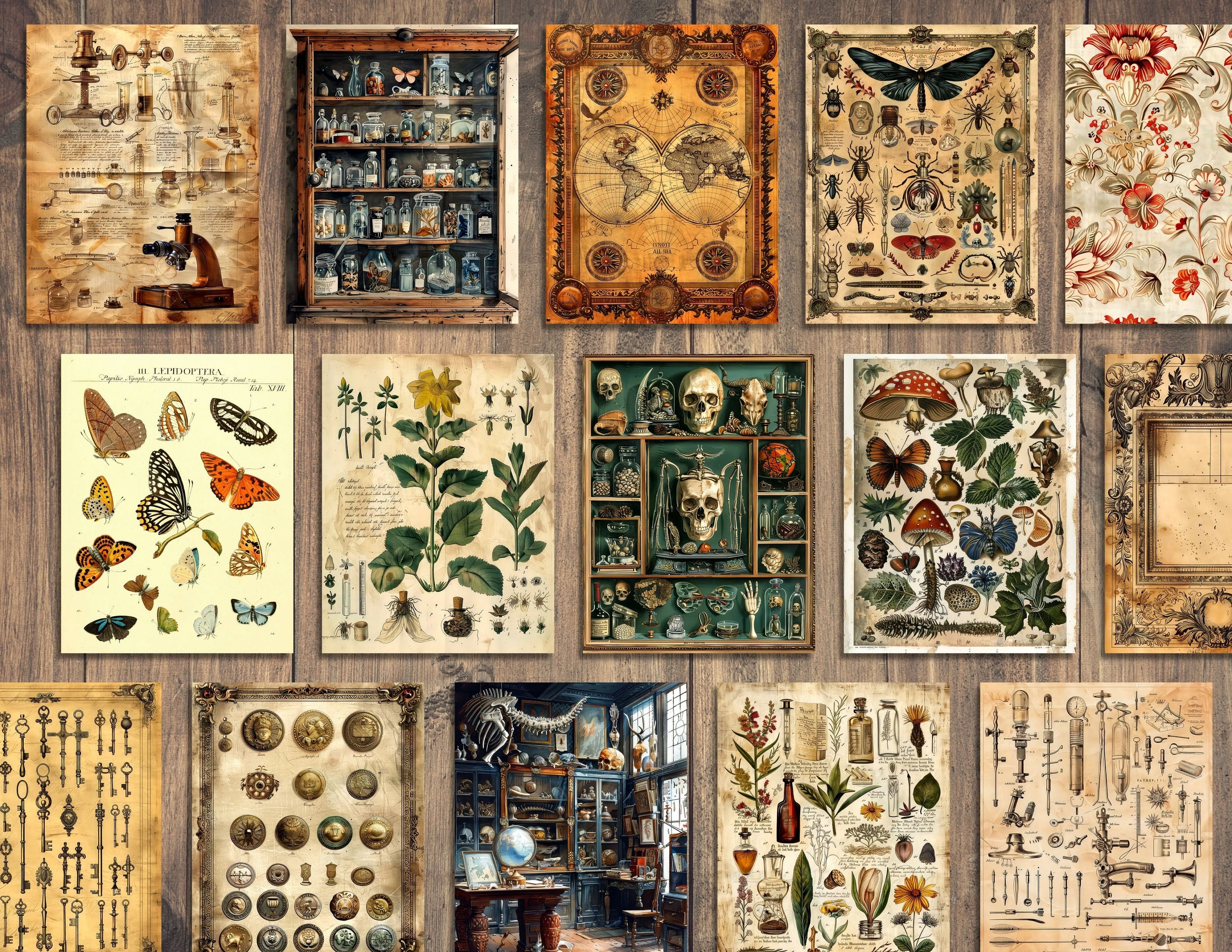 Cabinet of Curiosities Junk Journal Pages, Digital Scrapbook Paper, Field Book Printable, Victorian Collage Sheet, Vintage Botany, Butterfly - Etsy Cabinet of Curiosities Junk Journal Pages, Digital Scrapbook Paper, Field Book Printable, Victorian Collage Sheet, Vintage Botany, Butterfly - Etsy