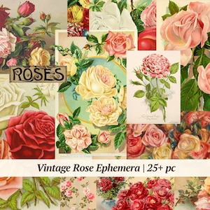 Vintage Rosen Ephemera | 25+ Stück | ausdruckbare botanische Rosen, Junk Journal Kit, Collage Sheet, Scrapbook Karten, Blumen Verzierungen