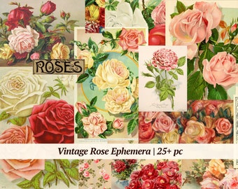 Coisas efêmeras rosa vintage | Mais de 25 unidades | rosas botânicas para impressão, kit de diário digital, folha de colagem, cartões de scrapbook, enfeites de flores