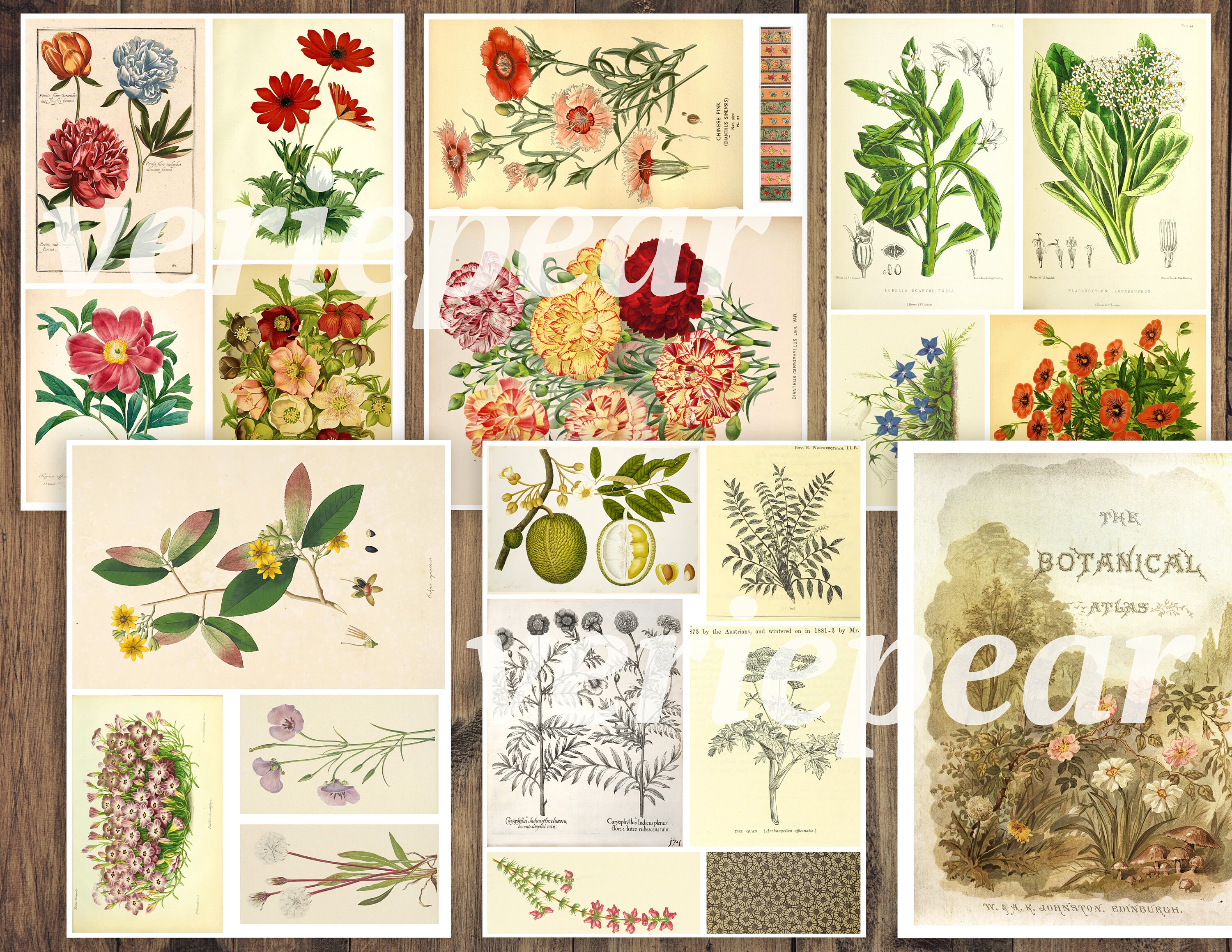 Vintage Botanical Junk Journal Ephemera Pack | 50 Pages, Printable ...