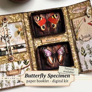 Livret de spécimens de papillons, folio chargé, journal indésirable imprimable, dossier pliant à trois volets, album de scrapbooking numérique, kit de création artistique, documents éphémères vintage