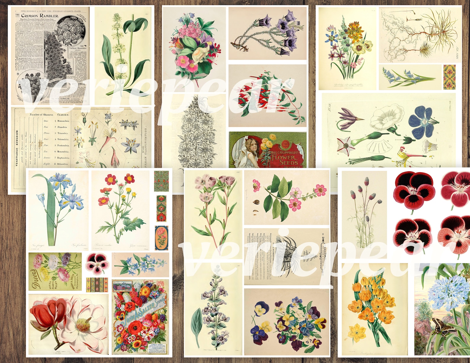 Vintage Botanical Junk Journal Ephemera Pack | 50 Pages, Printable ...