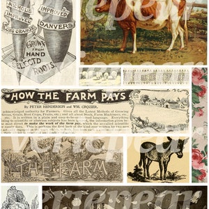 Vintage bondgårds-ephemera | 40+ st | digitalt collageark, utskrivbart skräpjournalkit för lantlig användning, scrapbookingpapper för bondgårdsliv, bilder på bondgårdsdjur bild 3