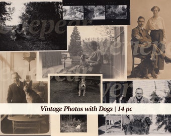 Photos vintage avec des chiens | 14x | photographies imprimables d'animaux de compagnie | images victoriennes | vieilles photos | éphémère numérique pour chiot | Série de photos anciennes