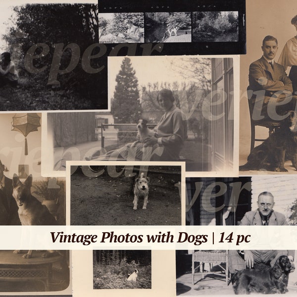 Vintage Photos with Dogs | 14x | printable pet photographs | victorian images | old pictures | digital puppy ephemera | antique photoset