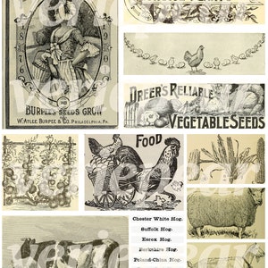 Vintage bondgårds-ephemera | 40+ st | digitalt collageark, utskrivbart skräpjournalkit för lantlig användning, scrapbookingpapper för bondgårdsliv, bilder på bondgårdsdjur bild 5