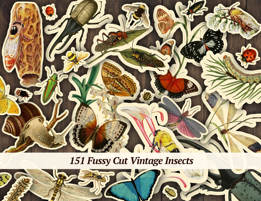 Insect Fussy Cut | Printable Vintage Ephemera | Bug Collage Sheet ...