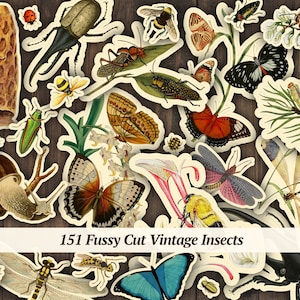 May include: A collection of 151 vintage insect illustrations, featuring butterflies, beetles, dragonflies, and other insects. The illustrations are cut out and arranged on a woodgrain background.