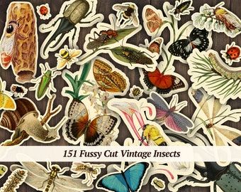 May include: A collection of 151 vintage insect illustrations, featuring butterflies, beetles, dragonflies, and other insects. The illustrations are cut out and arranged on a woodgrain background.