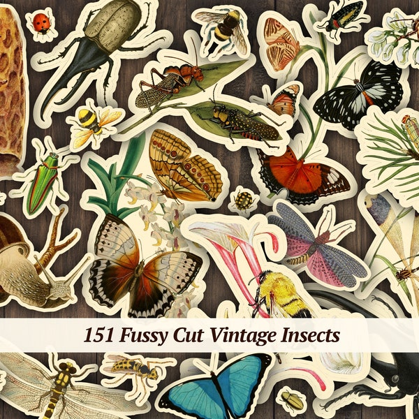 Insect Fussy Cut | printable vintage ephemera | bug collage sheet | botanical junk journal embellishments | digital entomology kit | cut out
